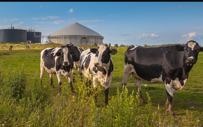 Fabrica de biometan din Alba: Investiție de 30 de milioane de euro în energie verde